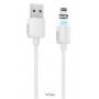 Borofone Câble Blanc BX57 Magnétique Lightning 1 m Charge 2.4A