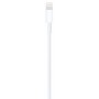 Câble Apple Origine USB vers Lightning (2m) MD819ZM Blanc ( Sans Boite)