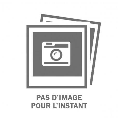 Chassis arrière argent iPhone 6S
