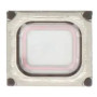 Haut Parleur A16 4G (A165F) Samsung