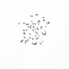 Lot de vis noir 43 pcs iPhone 5