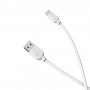 Borofone Câble Blanc BX14 Type C 1 m Charge/ Sync 2.4A