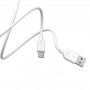 Borofone Câble Blanc BX14 Type C 1 m Charge/ Sync 2.4A