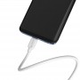 Borofone Câble Blanc BX14 Type C 2 m Charge/ Sync 2.4A