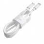 Hoco Câble Blanc X51 Type C Vers Type C 1m Mâle/Mâle Charge/Sync