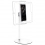 Hoco PH31 Support de Bureau Métal Argent Tablette et Mobile 4.7 à 10 Pouces