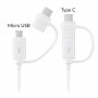 Samsung Cable Combo Original Type C-Micro USB 1.5M EP-DG930DWEGWW Avec Packaging