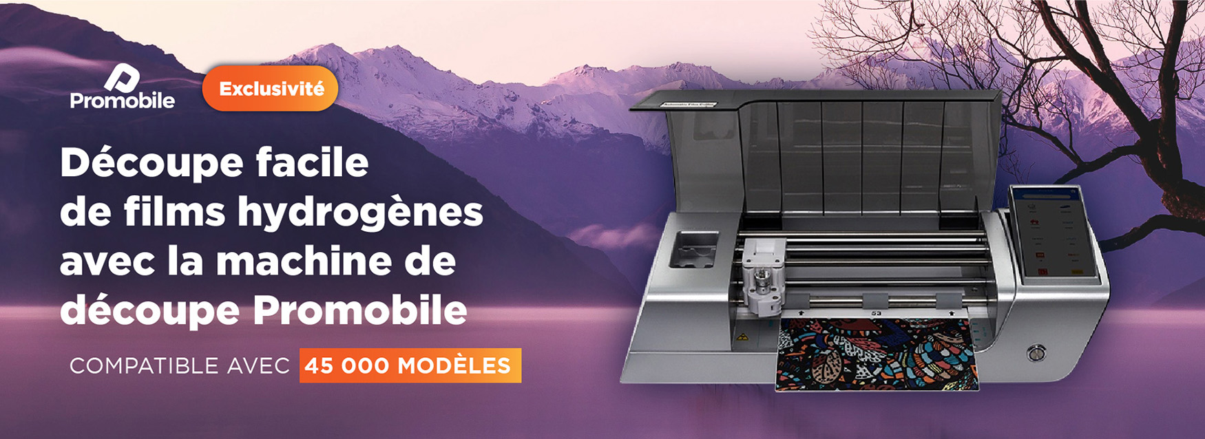 Découpe films arrières